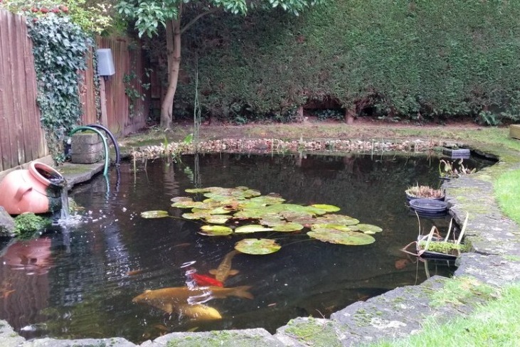 Teichbau